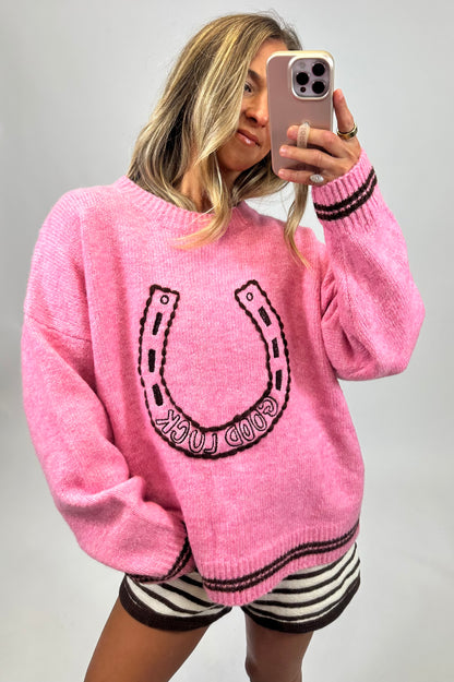 Lucky in Pink Sweater