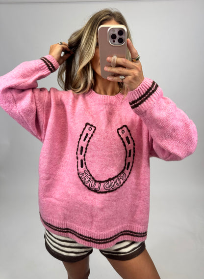 Lucky in Pink Sweater