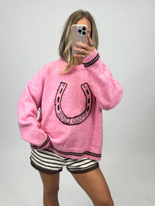 Lucky in Pink Sweater